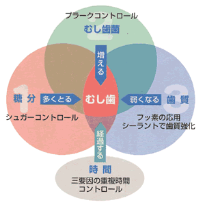 三つの要因でむし歯ができる